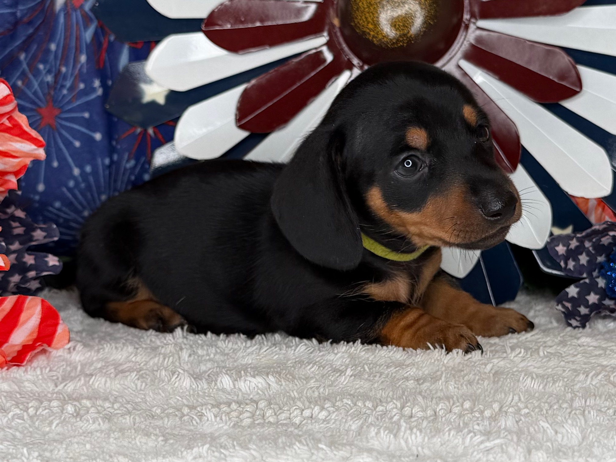 Monty