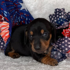 Monty