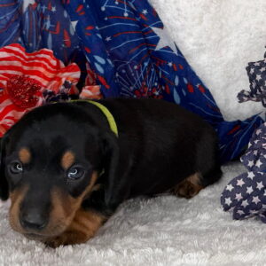 Monty