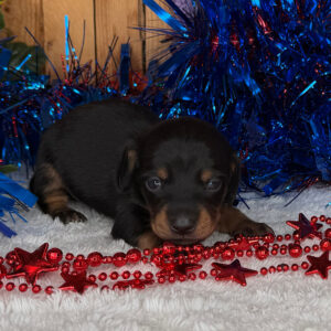 Monty