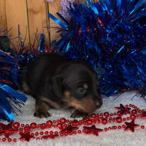 Monty