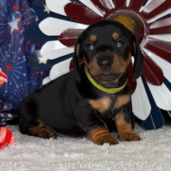 Monty
