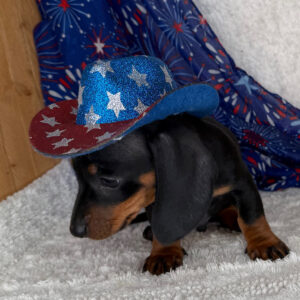 Ben