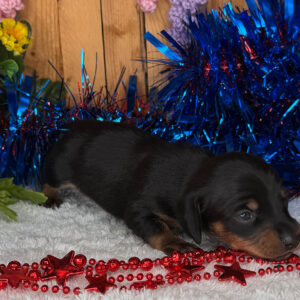 Monty