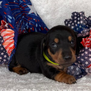 Monty
