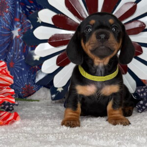 Monty