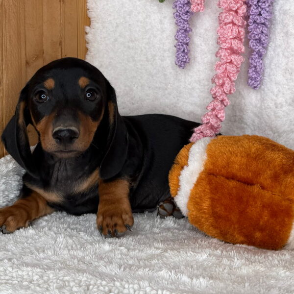 Monty