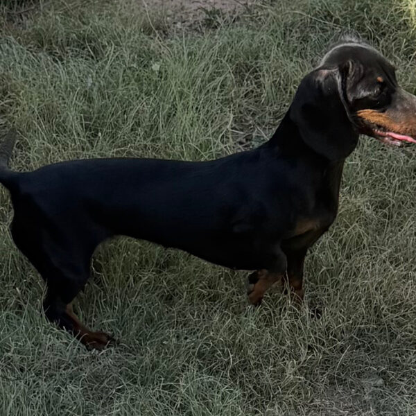 Lucy