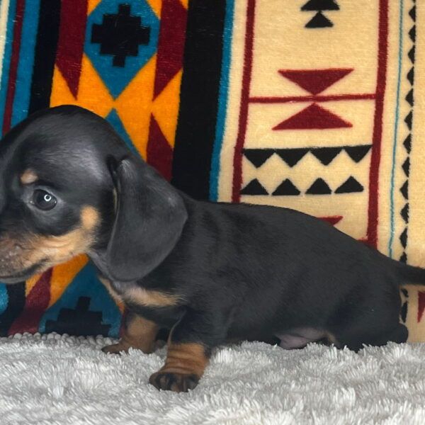 Benny