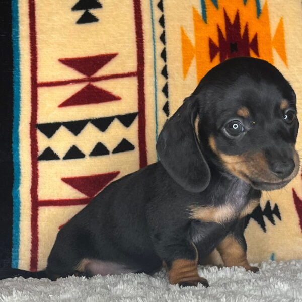 Benny