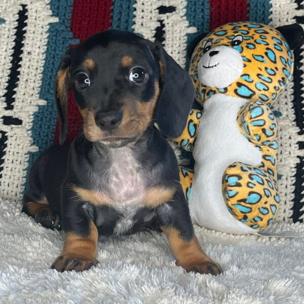Oscar